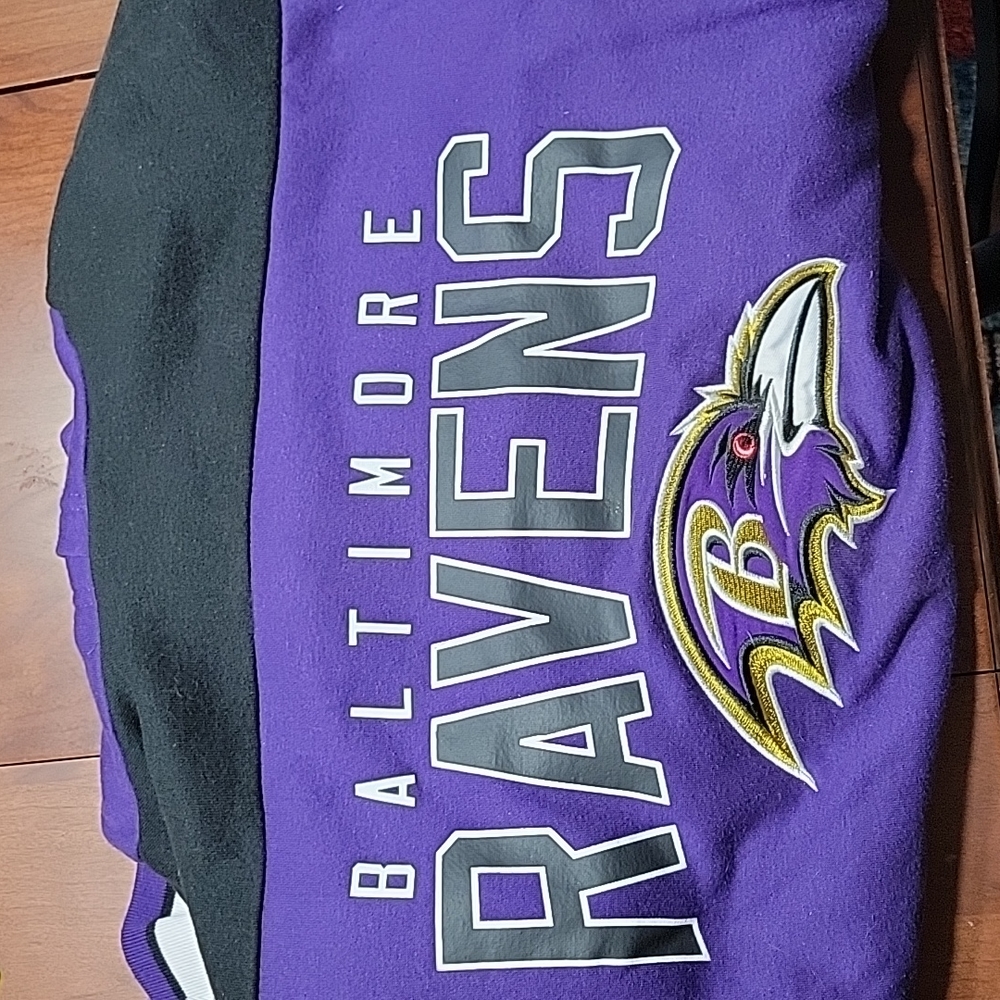 Raven hoodie sweatshirt